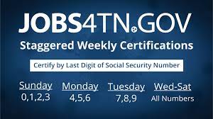 TN Unemployment Login: Is it true that you are a TN Unemployment client and assuming you need to get to your TN Unemployment login gateway?