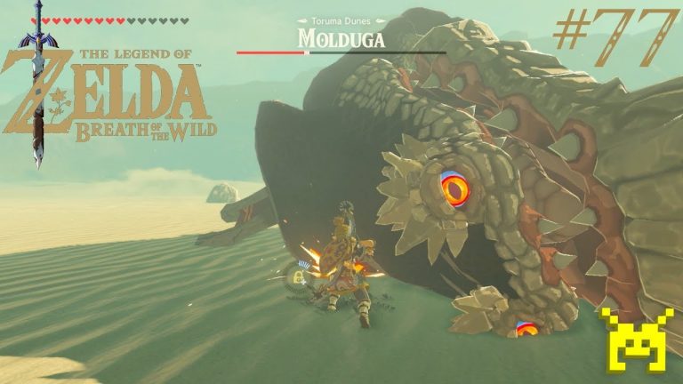 How To Find A Molduga In Gerudo Desert