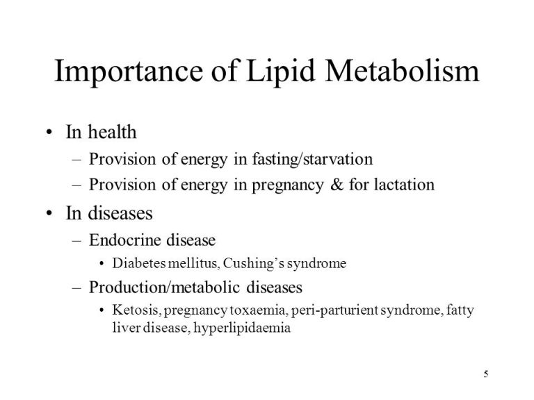 Why are lipids important for metabolism