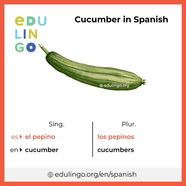 cucumber in spanish