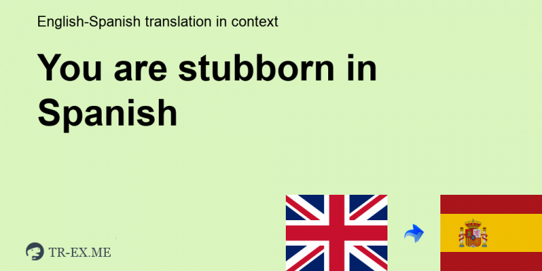 stubborn in spanish
